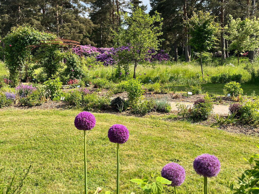 23-06-03 16-32-16 5779